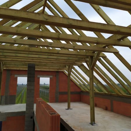 grodzisk mazowieckis x