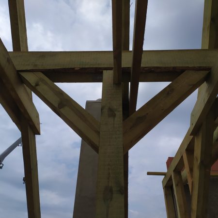 grodzisk mazowieckis x