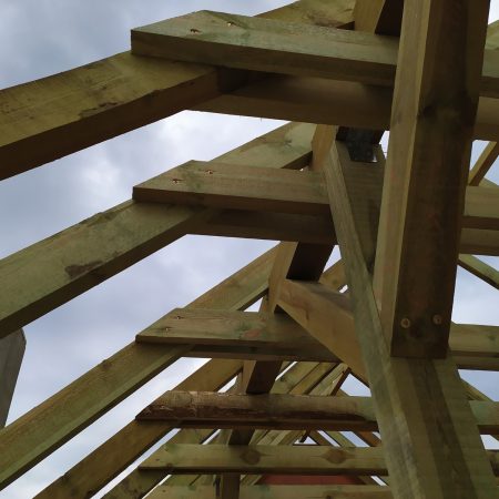 grodzisk mazowieckis x