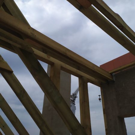 grodzisk mazowieckis x